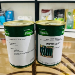 بذر خیار ایمپرس شرکت ویلمورین فرانسه