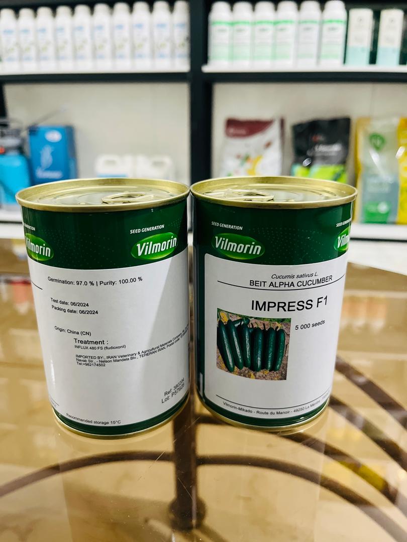 بذر خیار ایمپرس شرکت ویلمورین فرانسه